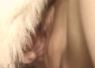Dog penetrating hairless pussy here