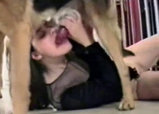 Brunette slides underneath to suck dog cock