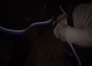 Massive horse cock ripping his asshole