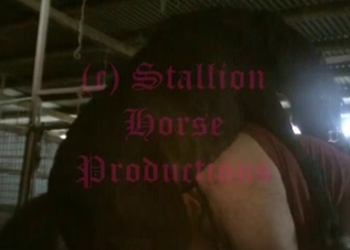 Big booty dude fucking a hung stallion