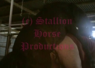 Big booty dude fucking a hung stallion