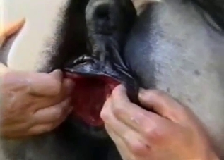 Vertigo-inducing animal pussy (close-up)