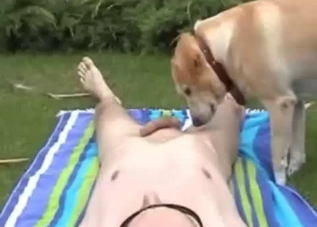 Relaxed dude gets a BJ from his dog