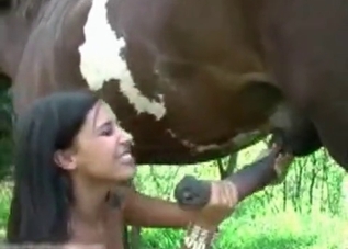 Latina is obsessed with horse dicks