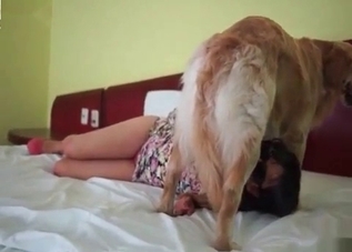 Cunt hardly drilled by hound