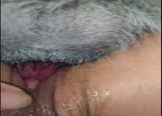 The dog got stuck in a female's tight cunt in the close-up