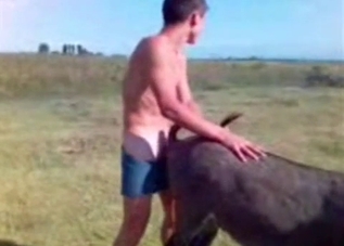 Sensual farm animal gets fucked in the doggy pose