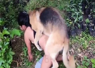 Beautiful outdoor bestiality porn in the forest