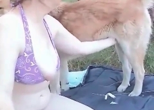 Dog gets pleasured on camera