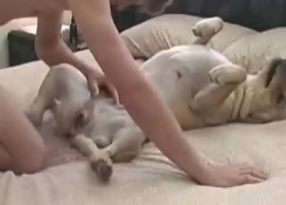 Doggie getting worked up and aroused