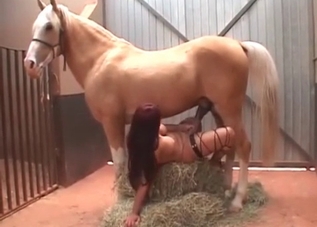 Just giving a head for a mare