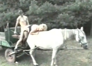 Alluring white stallion in bestiality movie