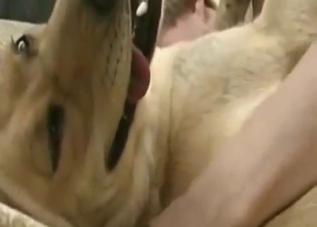 Zoophile porn with a romantic dog fucker