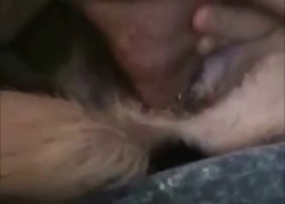 German Shepherd slut fucked into submission