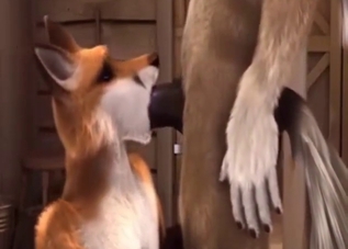 Anime sex with two animals fucking mouths