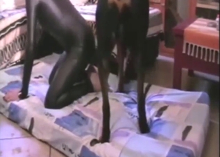 Knot of a horny dog slides inside her mature hole
