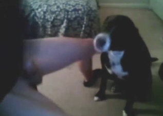 Extremely sexual scene with a dog mouth fucker