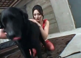 XXX fun with a dog: starring an Asian chick