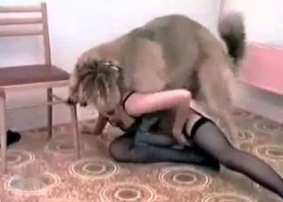 Horny chick playing around with a shepherd