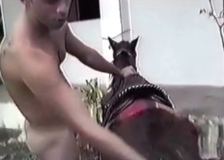 Dog getting seduced by a hard dude