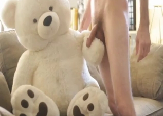 Zoophile guy fucks a stuffed bear with zeal