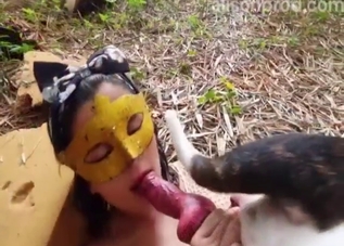 Stuffed with animal cock, the best compilation