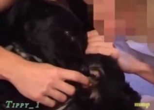 Dude drills a dog's pussy in the hottest ways