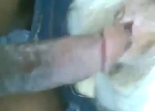 Dude using and abusing goat pussy big time