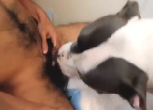 Hairy guy with a nice dick fucking a dog's mouth