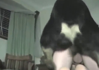 Dog bestiality porn with GOD-like dog fucking