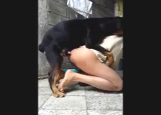 Zoo sex with a guy fucker who sticks out his ass