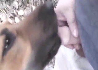 Insane dude is going to jerk off for this dog