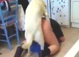 Legs high up, hole is ready to get rammed by a dog