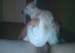 Savage dog fuck with a beast bouncing up, down