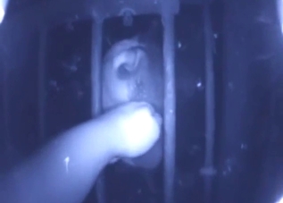 Night vision blowjob from a bull that looks HUNGRY