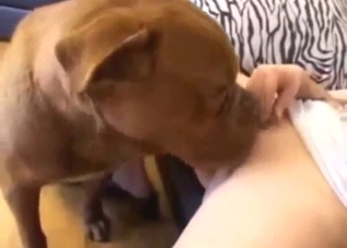 Skinny lady with pale skin takes brown dog's dick