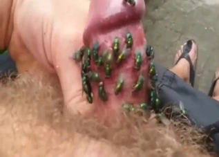 Dude has green flies all over his penis, it's hot