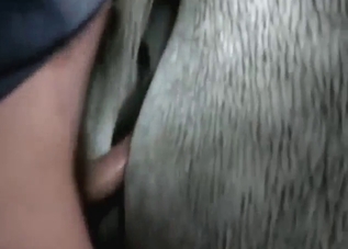 Slutty mare gets banged and then creampie