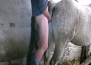 Slutty mare gets banged and then creampie