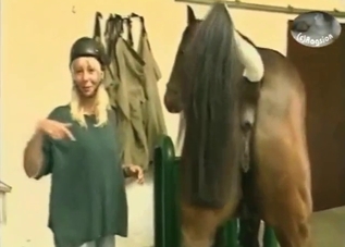 Two horses should be allowed to mate (zoo XXX)