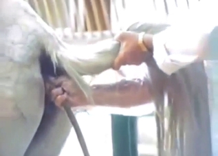 Enema fetish scene with a sexed-up horsey