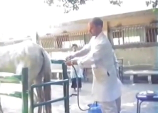 Enema fetish scene with a sexed-up horsey