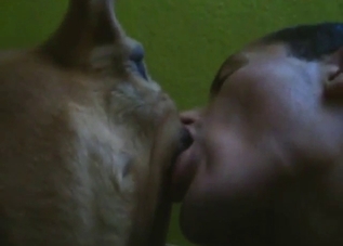 Dude makes out with his dog's pussy prior to sex