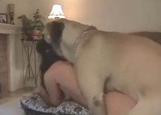 Dog fucks her up from behind, get sexy close-ups