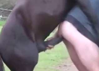 Dude's pale asshole gets fucked by a stallion