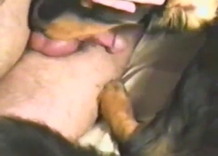 Bad slutty beast taking nice dick in its hole