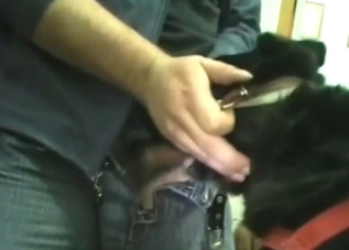 Guy fucking a dog's throat rather savagely