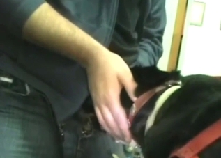 Guy fucking a dog's throat rather savagely