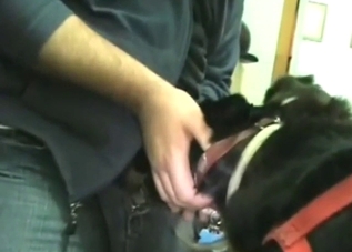 Guy fucking a dog's throat rather savagely