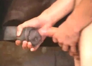 Dude is going to enjoy frottage with a farm beast